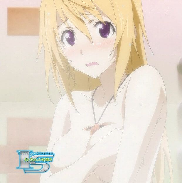 Erotic image article 6 coming out of the "infinite Stratos' JLPT 11