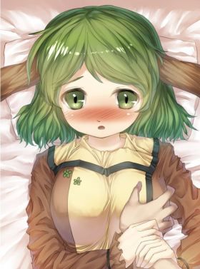 Touhou Project power a preeminent secondary erotic image assortment 14