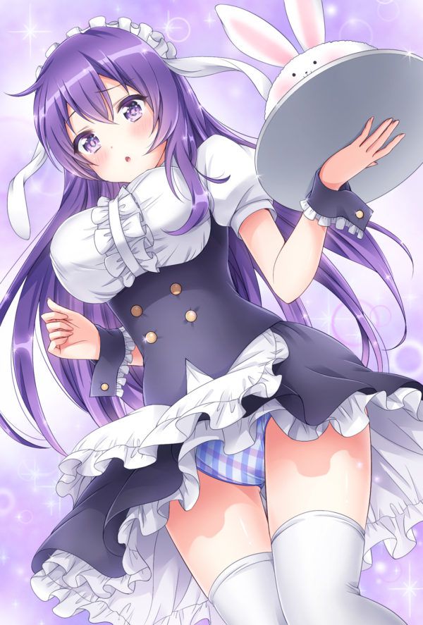 Your order is a rabbit? The MoE illustration 12