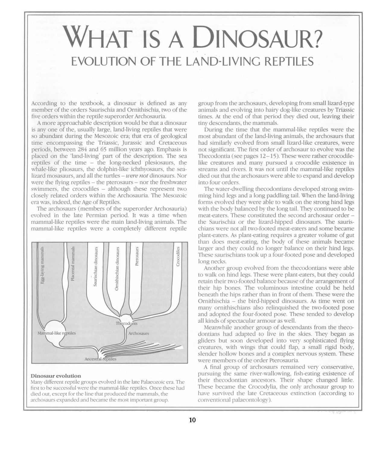 [Dougal Dixon] The New Dinosaurs: An Alternative Evolution 11
