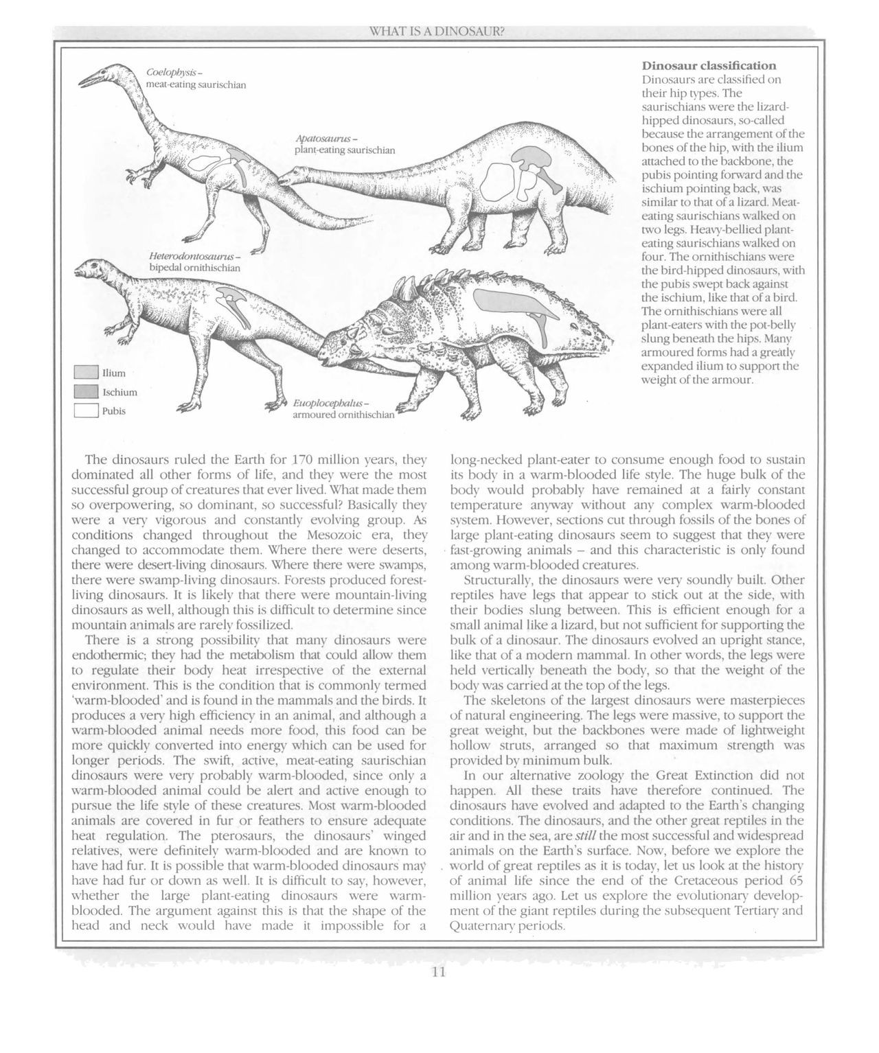 [Dougal Dixon] The New Dinosaurs: An Alternative Evolution 12
