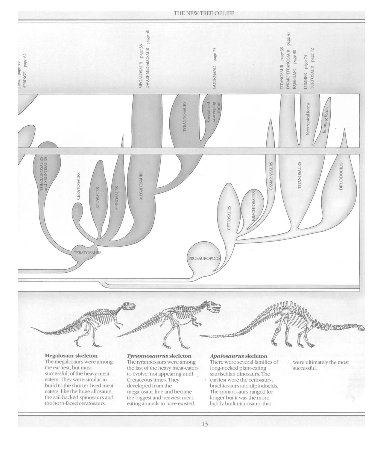 [Dougal Dixon] The New Dinosaurs: An Alternative Evolution 14