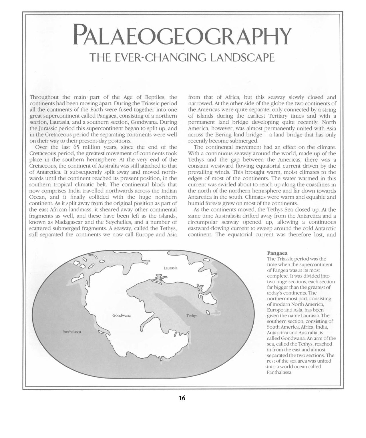 [Dougal Dixon] The New Dinosaurs: An Alternative Evolution 17