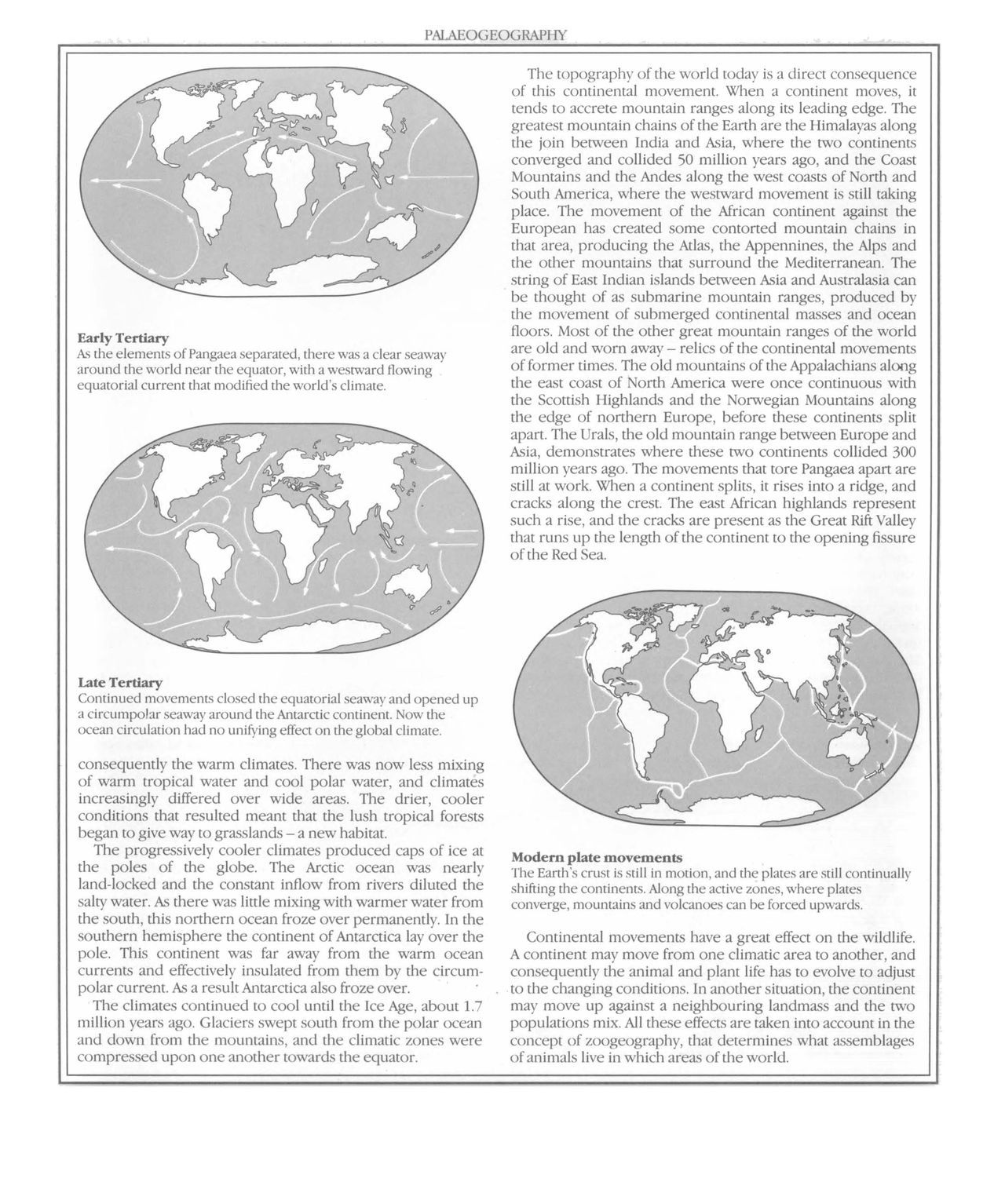 [Dougal Dixon] The New Dinosaurs: An Alternative Evolution 18