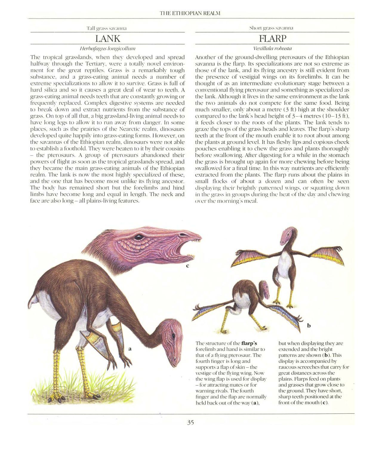 [Dougal Dixon] The New Dinosaurs: An Alternative Evolution 36