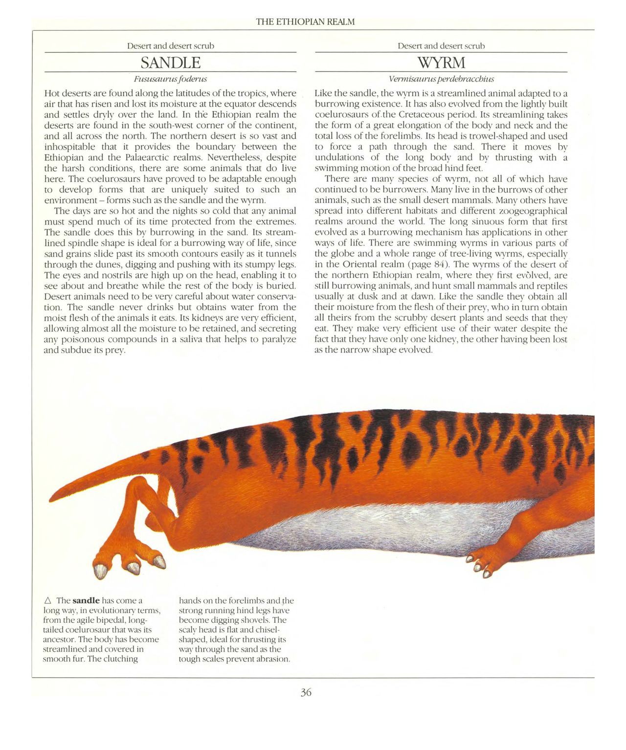 [Dougal Dixon] The New Dinosaurs: An Alternative Evolution 37