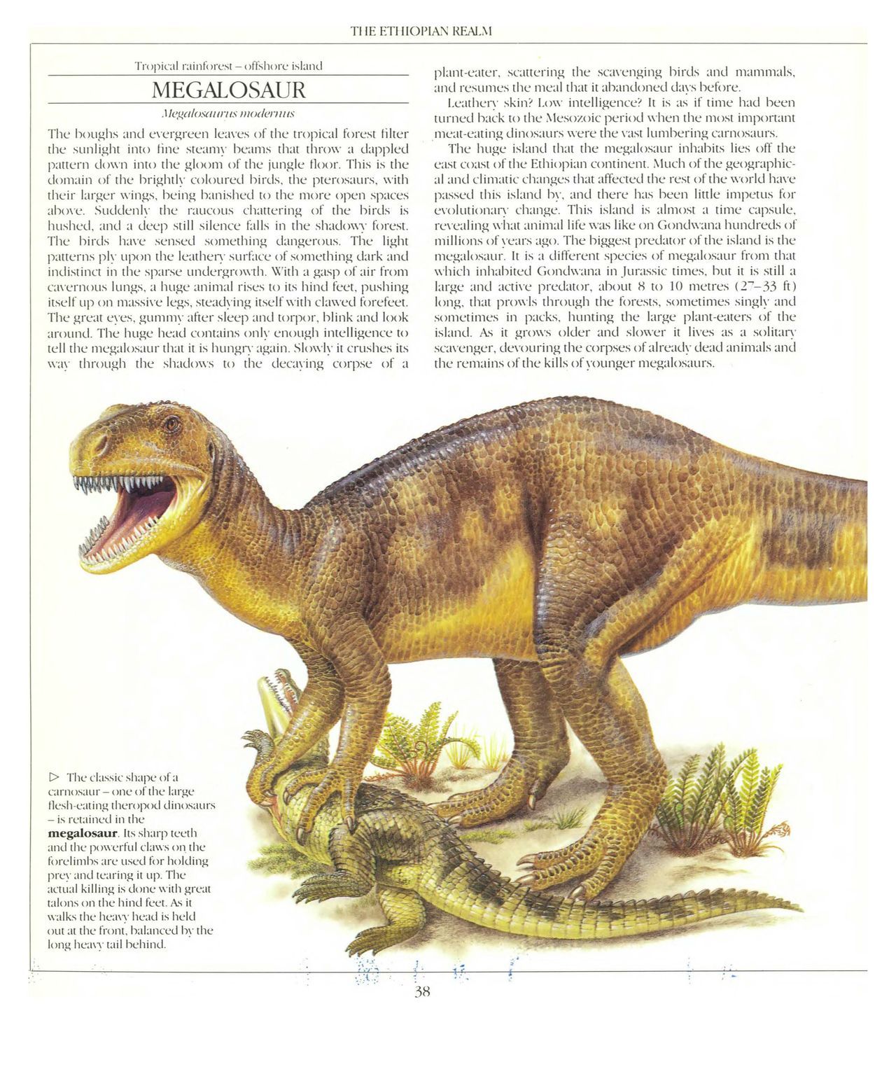 [Dougal Dixon] The New Dinosaurs: An Alternative Evolution 39