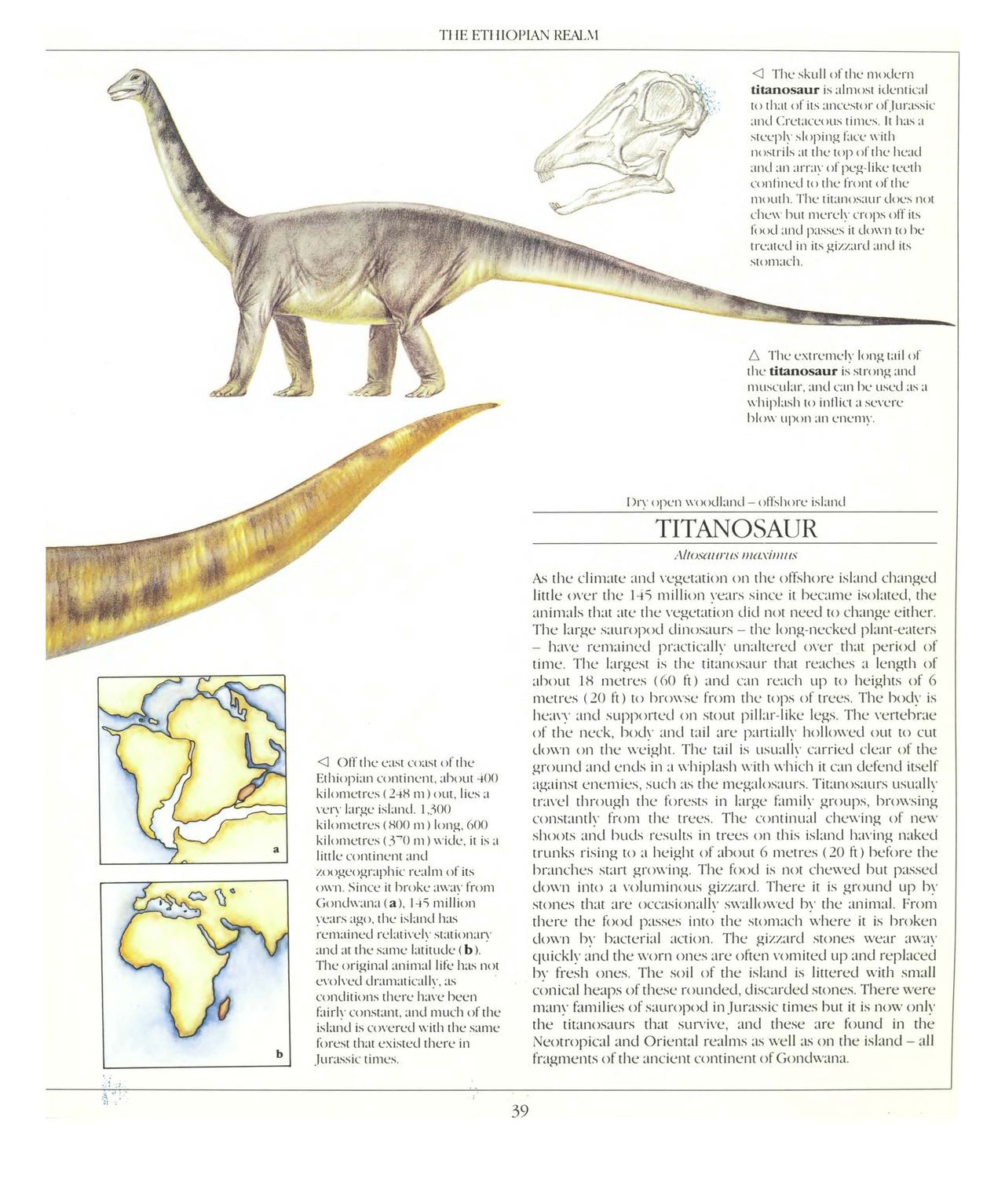 [Dougal Dixon] The New Dinosaurs: An Alternative Evolution 40