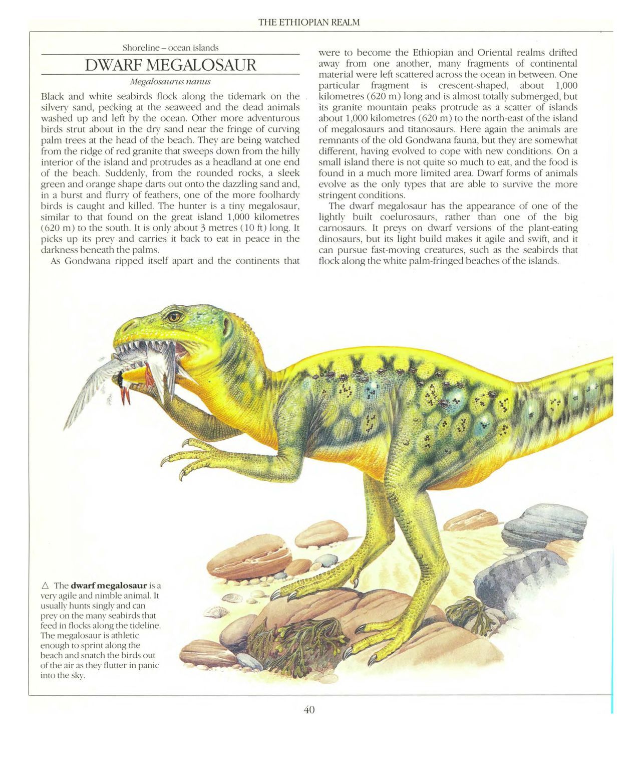 [Dougal Dixon] The New Dinosaurs: An Alternative Evolution 41