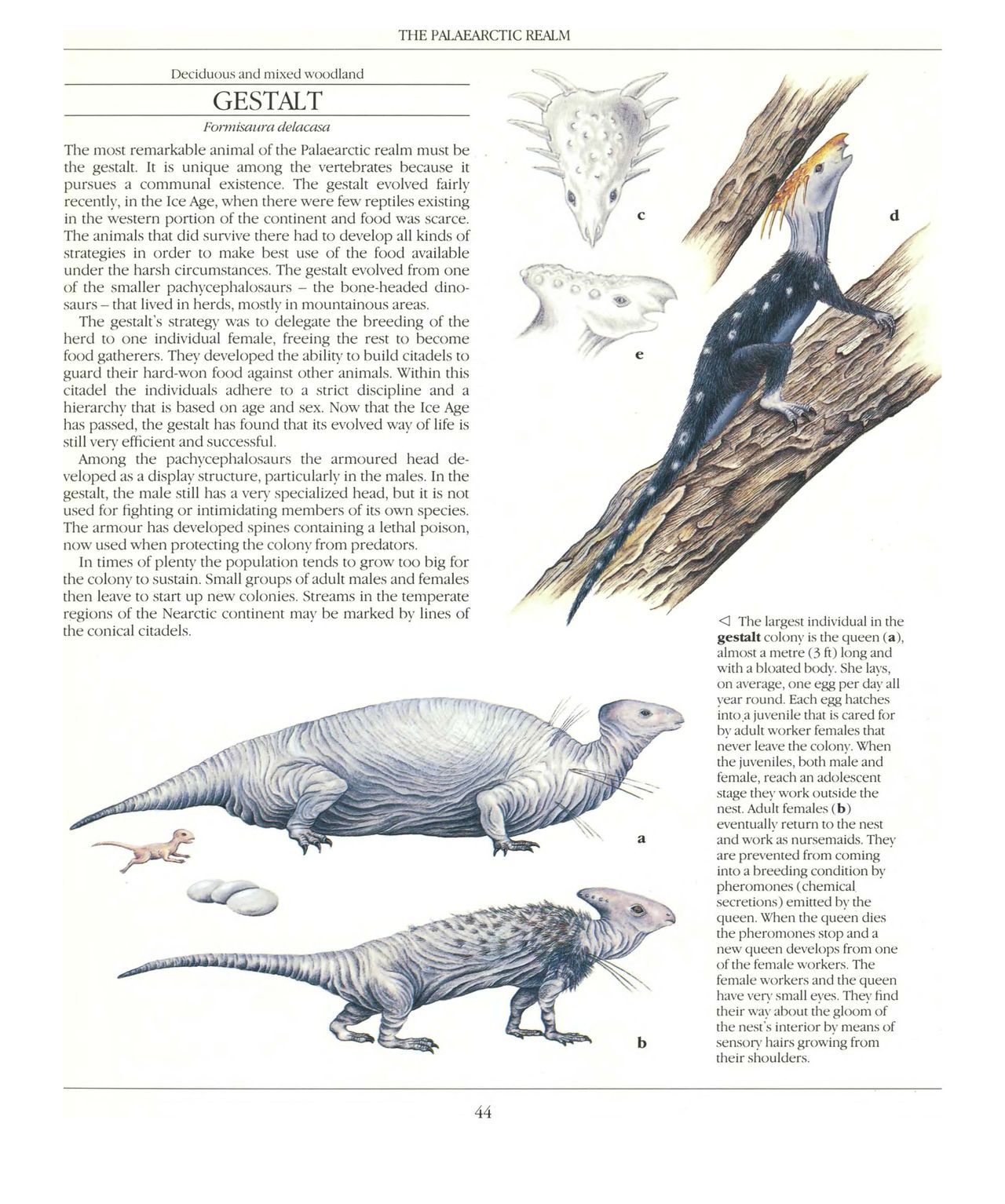 [Dougal Dixon] The New Dinosaurs: An Alternative Evolution 45