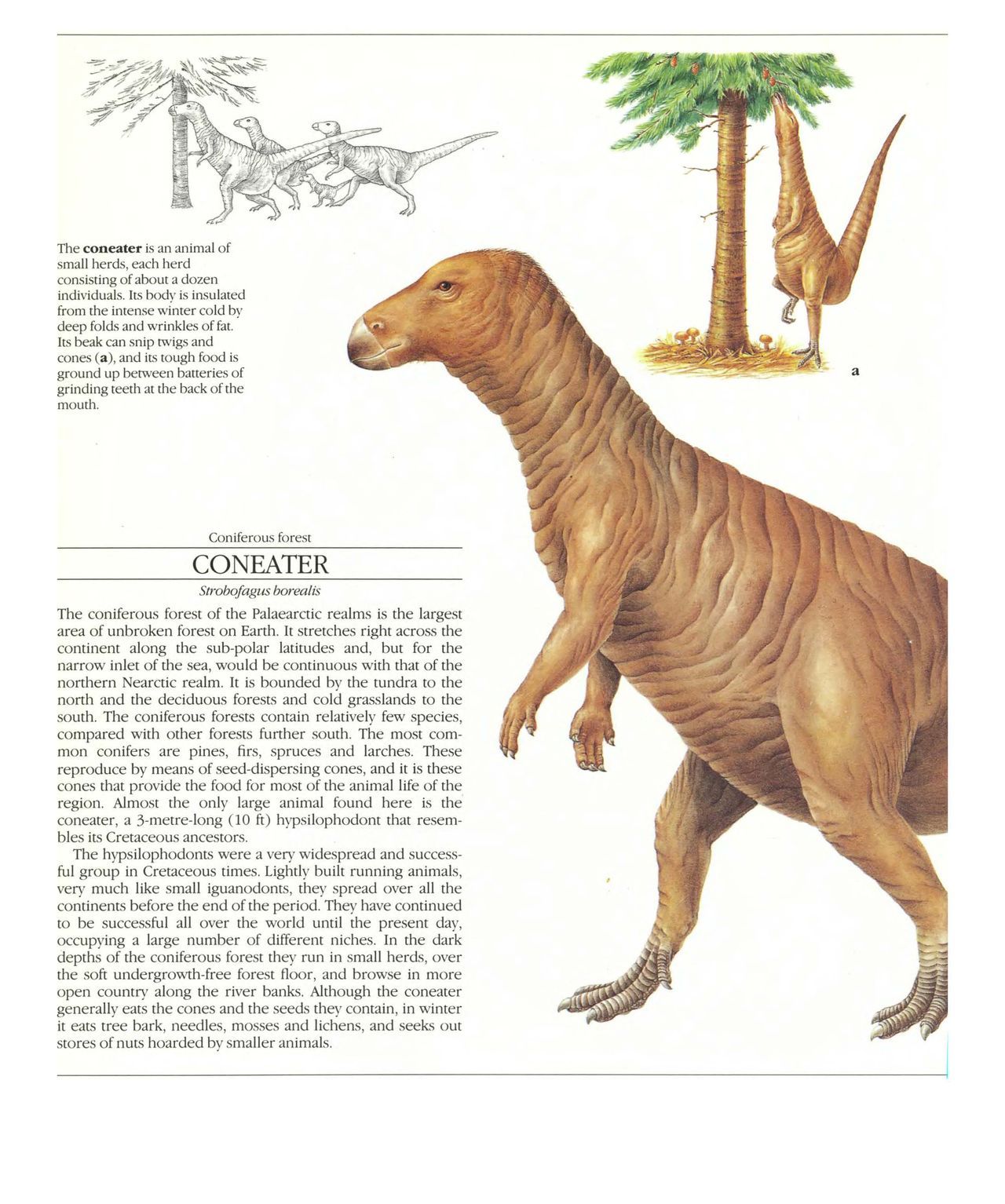 [Dougal Dixon] The New Dinosaurs: An Alternative Evolution 49