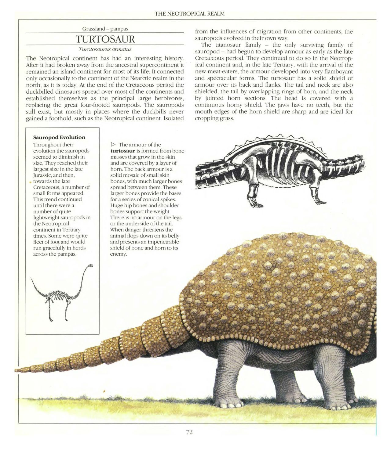 [Dougal Dixon] The New Dinosaurs: An Alternative Evolution 73