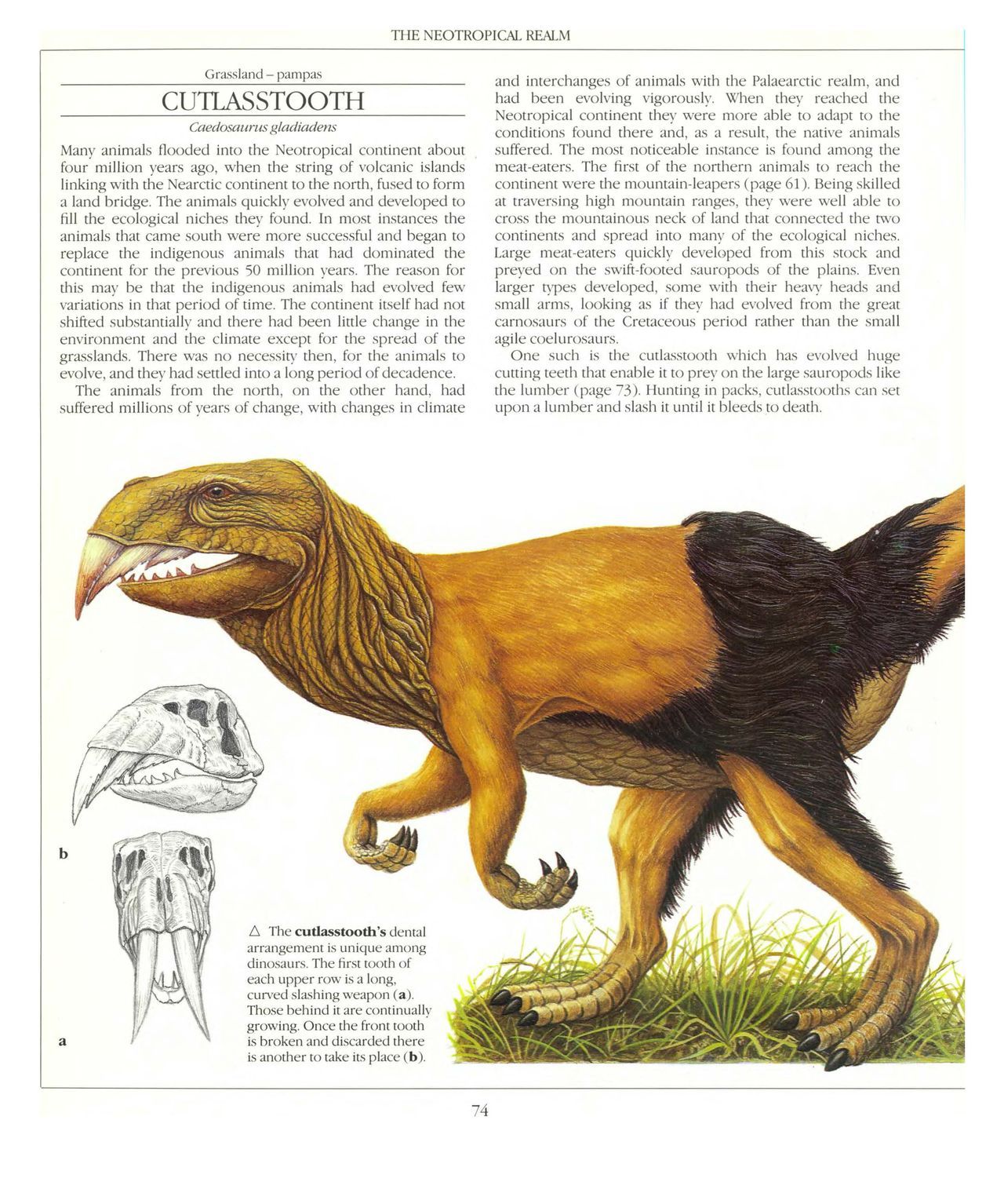 [Dougal Dixon] The New Dinosaurs: An Alternative Evolution 75