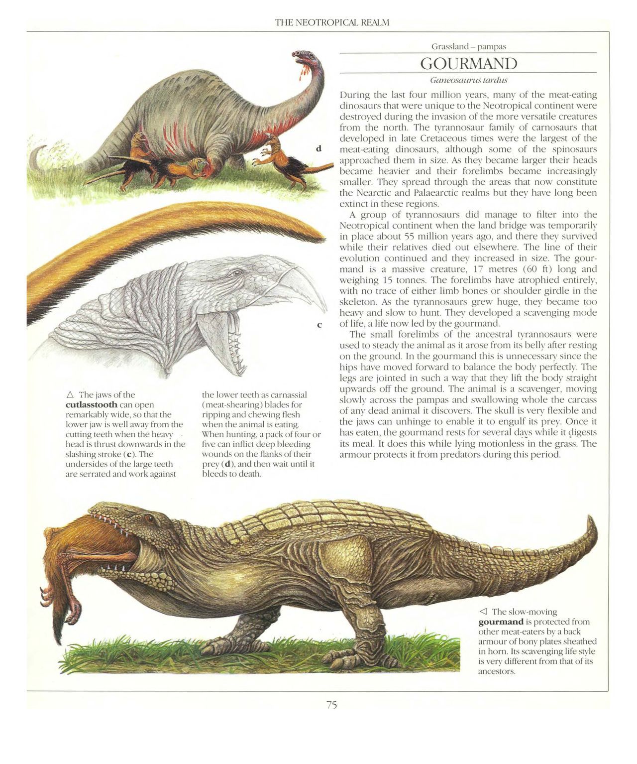 [Dougal Dixon] The New Dinosaurs: An Alternative Evolution 76