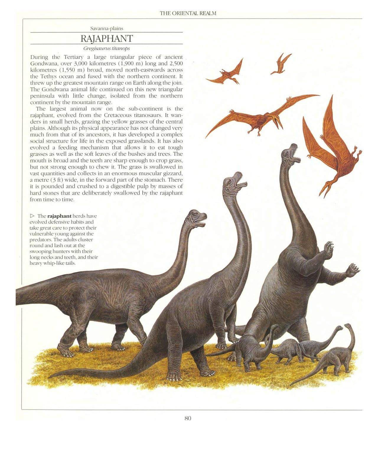 [Dougal Dixon] The New Dinosaurs: An Alternative Evolution 81