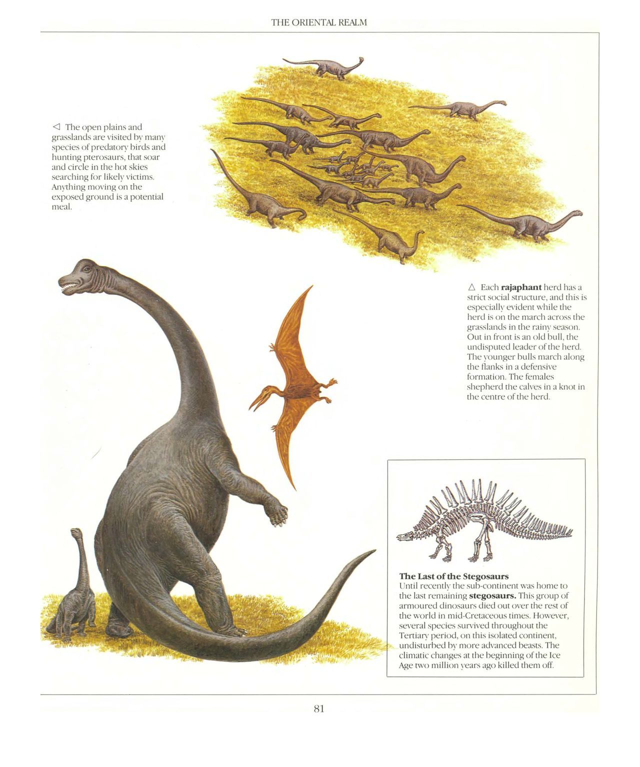 [Dougal Dixon] The New Dinosaurs: An Alternative Evolution 82