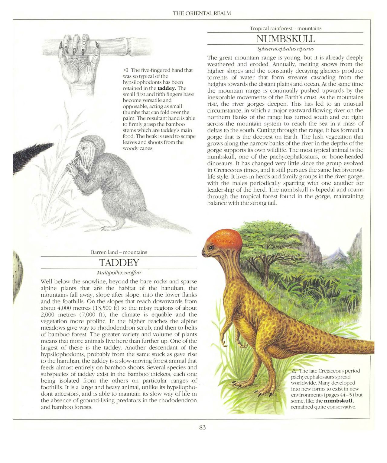 [Dougal Dixon] The New Dinosaurs: An Alternative Evolution 84
