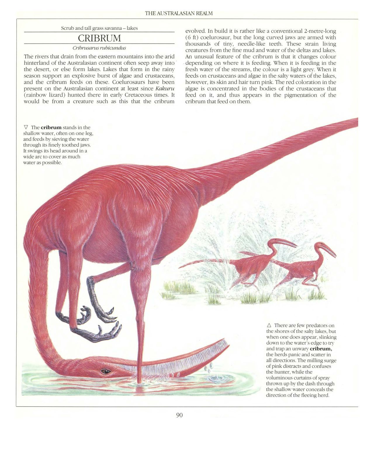 [Dougal Dixon] The New Dinosaurs: An Alternative Evolution 91
