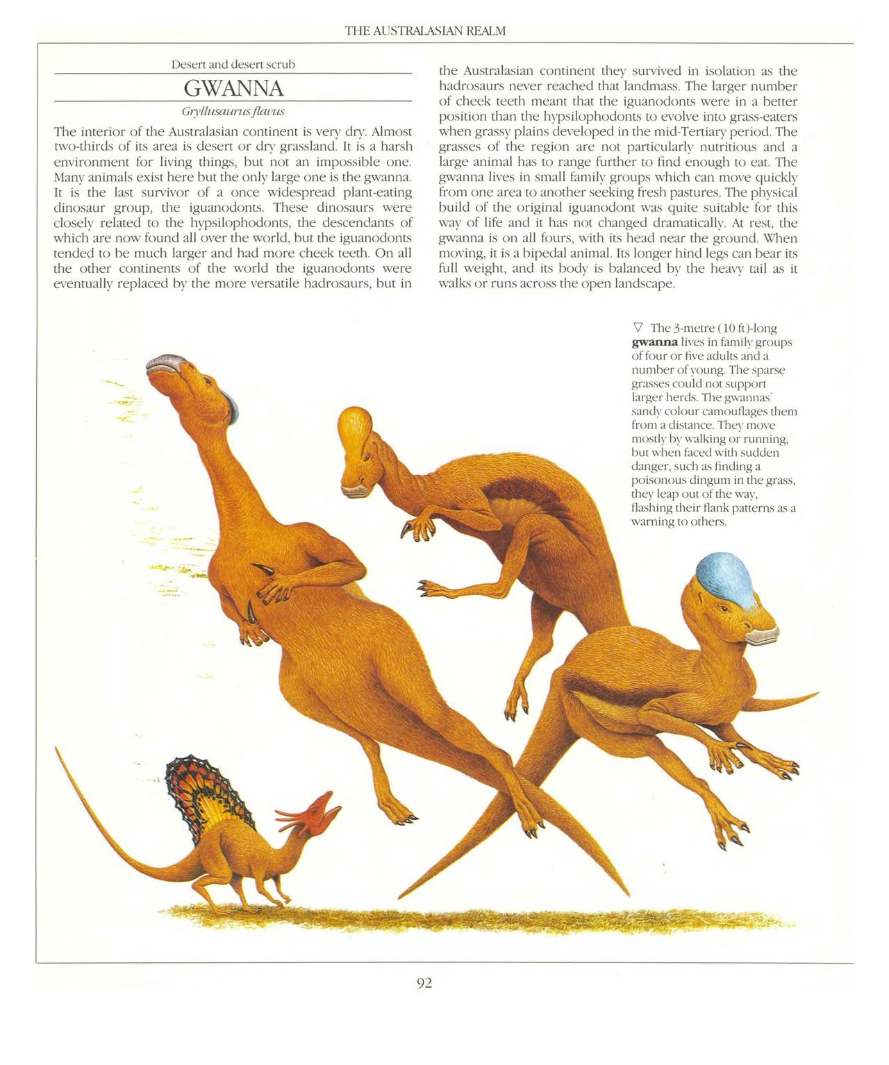 [Dougal Dixon] The New Dinosaurs: An Alternative Evolution 93