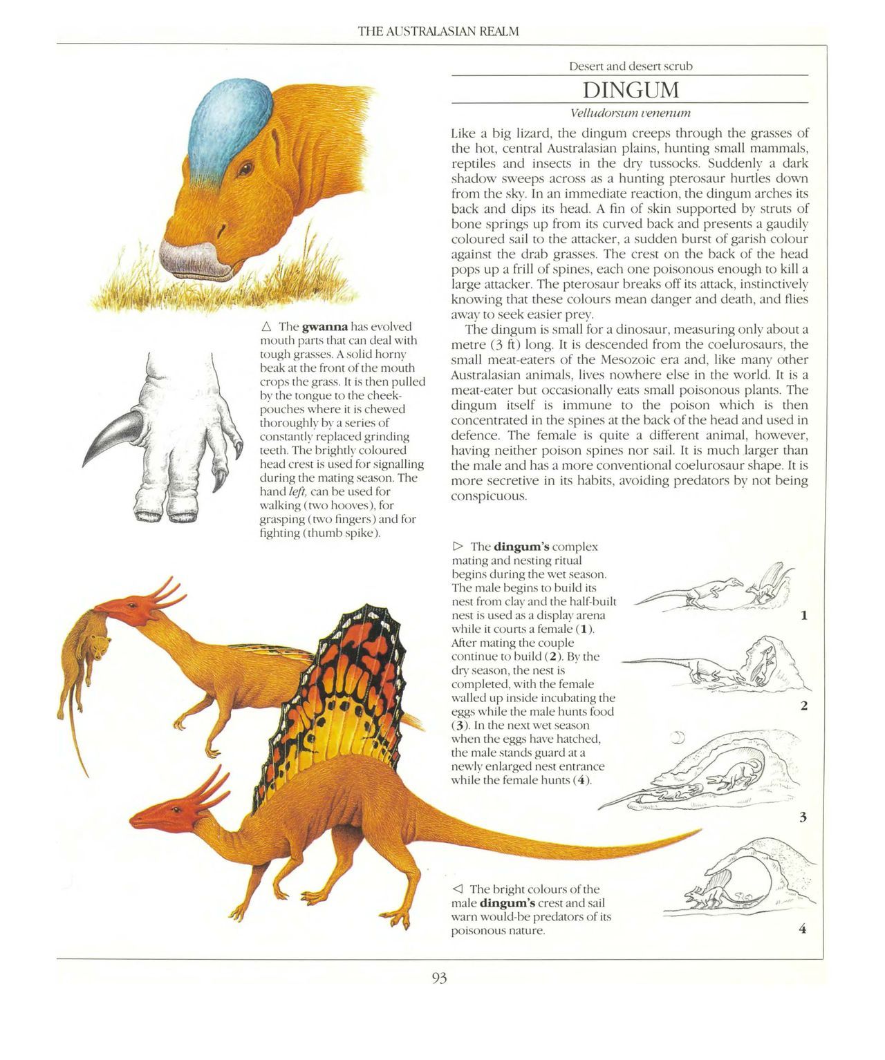 [Dougal Dixon] The New Dinosaurs: An Alternative Evolution 94
