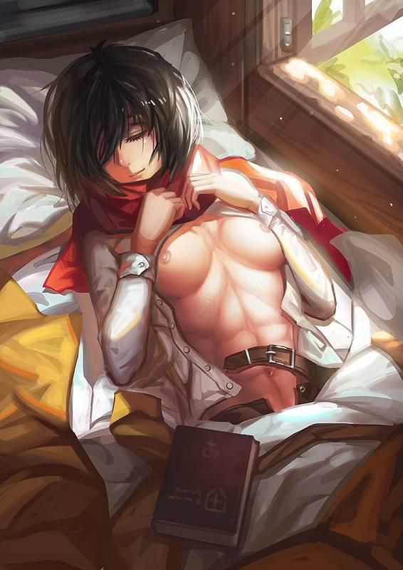 [2D] attack on Titan Mikasa erotic pictures (40 pictures) 16