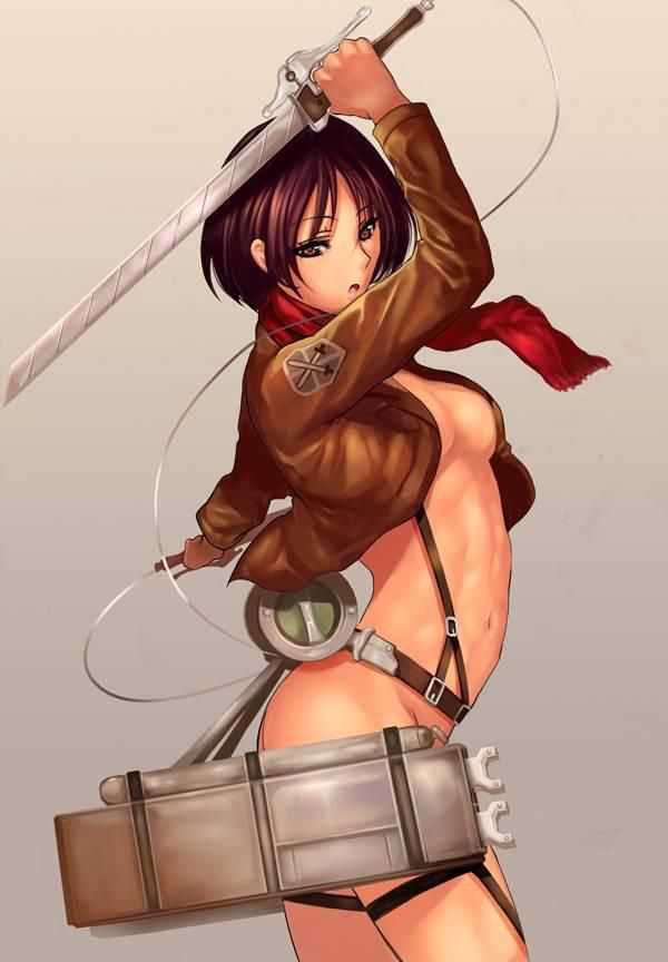 [2D] attack on Titan Mikasa erotic pictures (40 pictures) 25