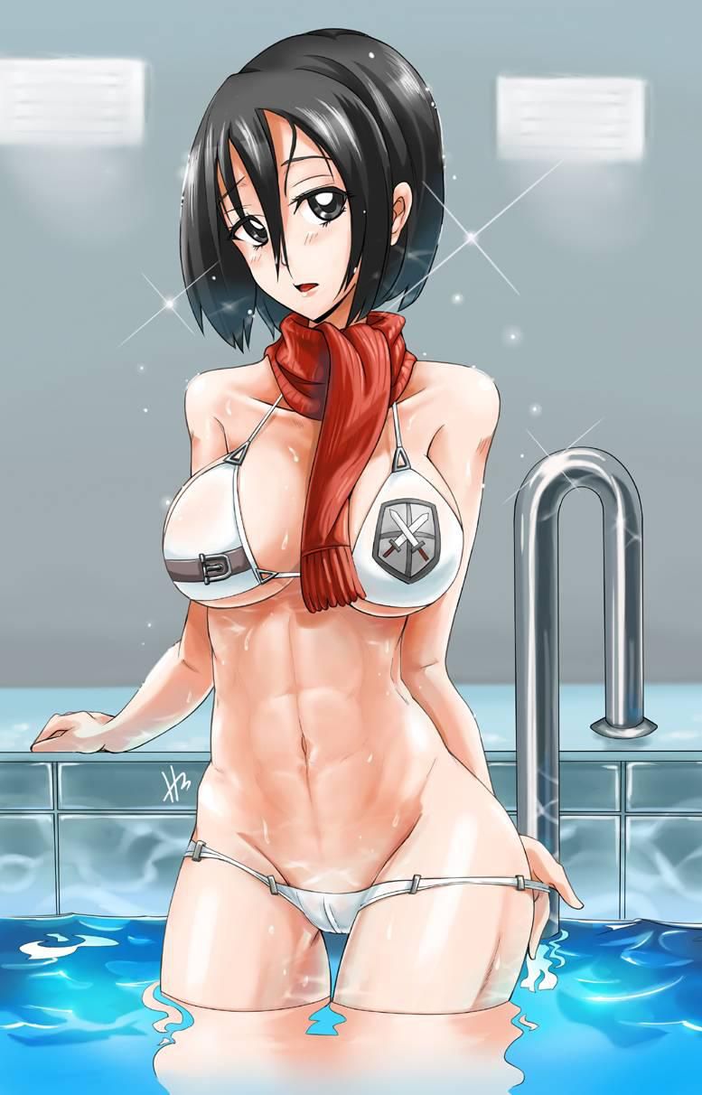 [2D] attack on Titan Mikasa erotic pictures (40 pictures) 27