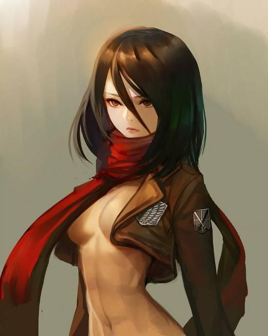 [2D] attack on Titan Mikasa erotic pictures (40 pictures) 28