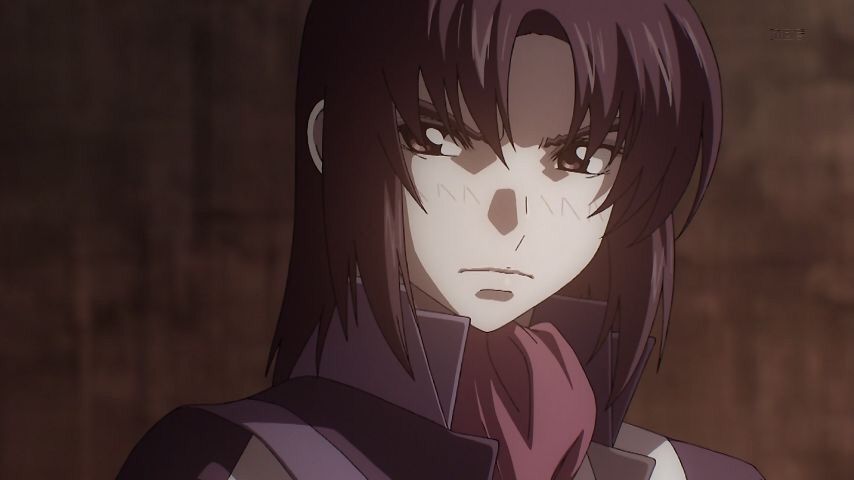 Fafner in the azure EXODUS 13 talk about the future of the darkness's thoughts. The future is... [Image is: 107