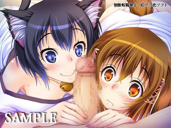 Visit Monster girl, beast daughter diplomat eroge two-dimensional erotic picture 2nd 46! 2