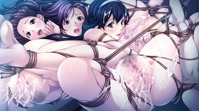 Restrained BDSM and Shibari series eroge two-dimensional erotic images second 51-see! 47