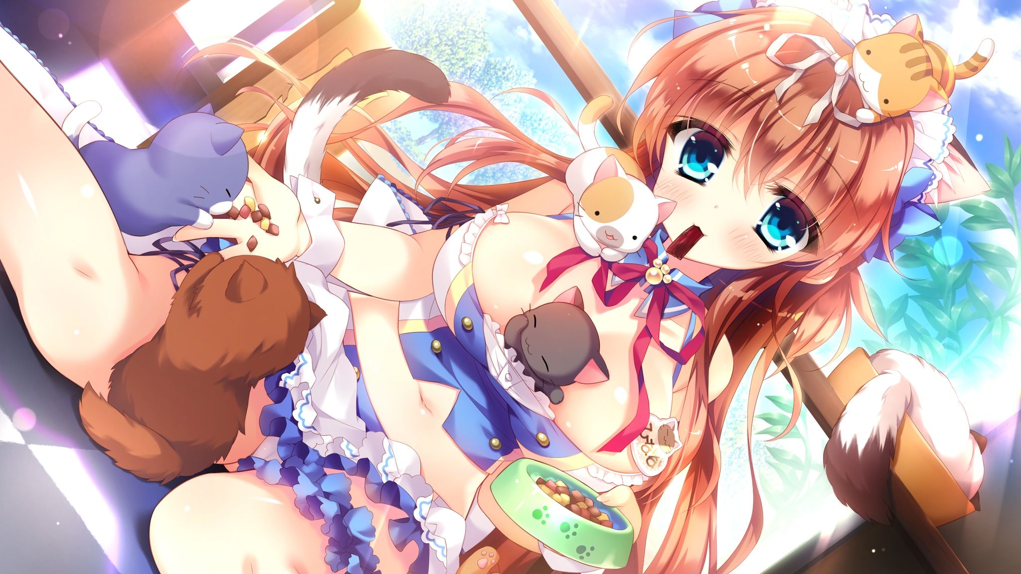 Dalmatians in Nya I'm ☆ served ALA mode! [PC18 forbidden eroge HCG] erotic wallpapers and pictures part 2 2