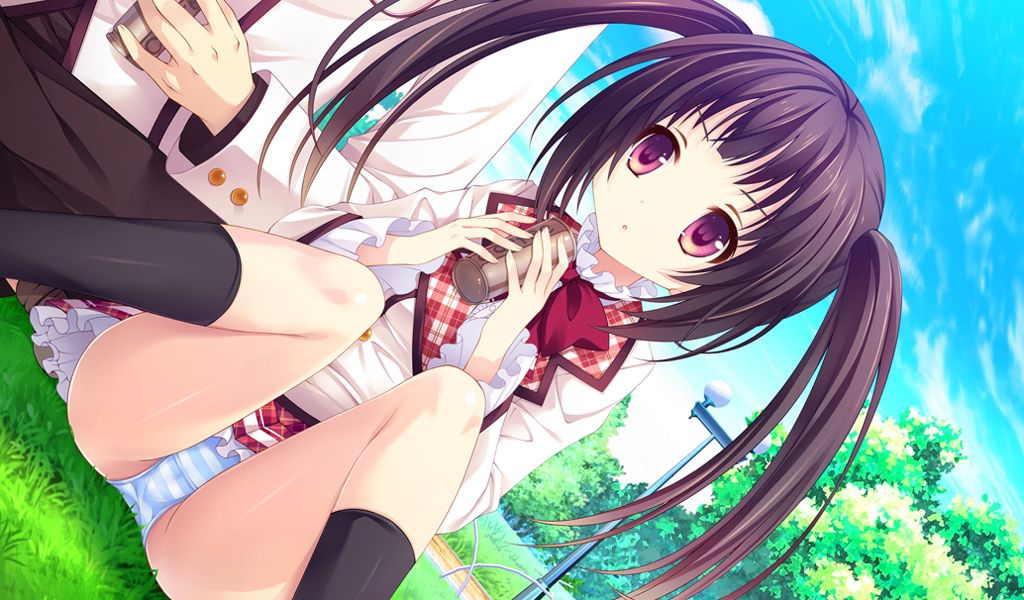 Girls in love and feelings not of miracle [18 eroge HCG] wallpapers, images 10