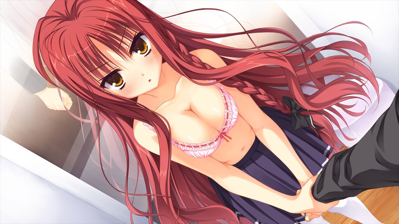 Dracu-riot! [Under age 18 prohibited eroge CG: picture IV 2