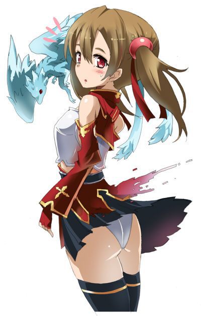 [16 images] SAO ayano silica / silica erotic pictures! 9