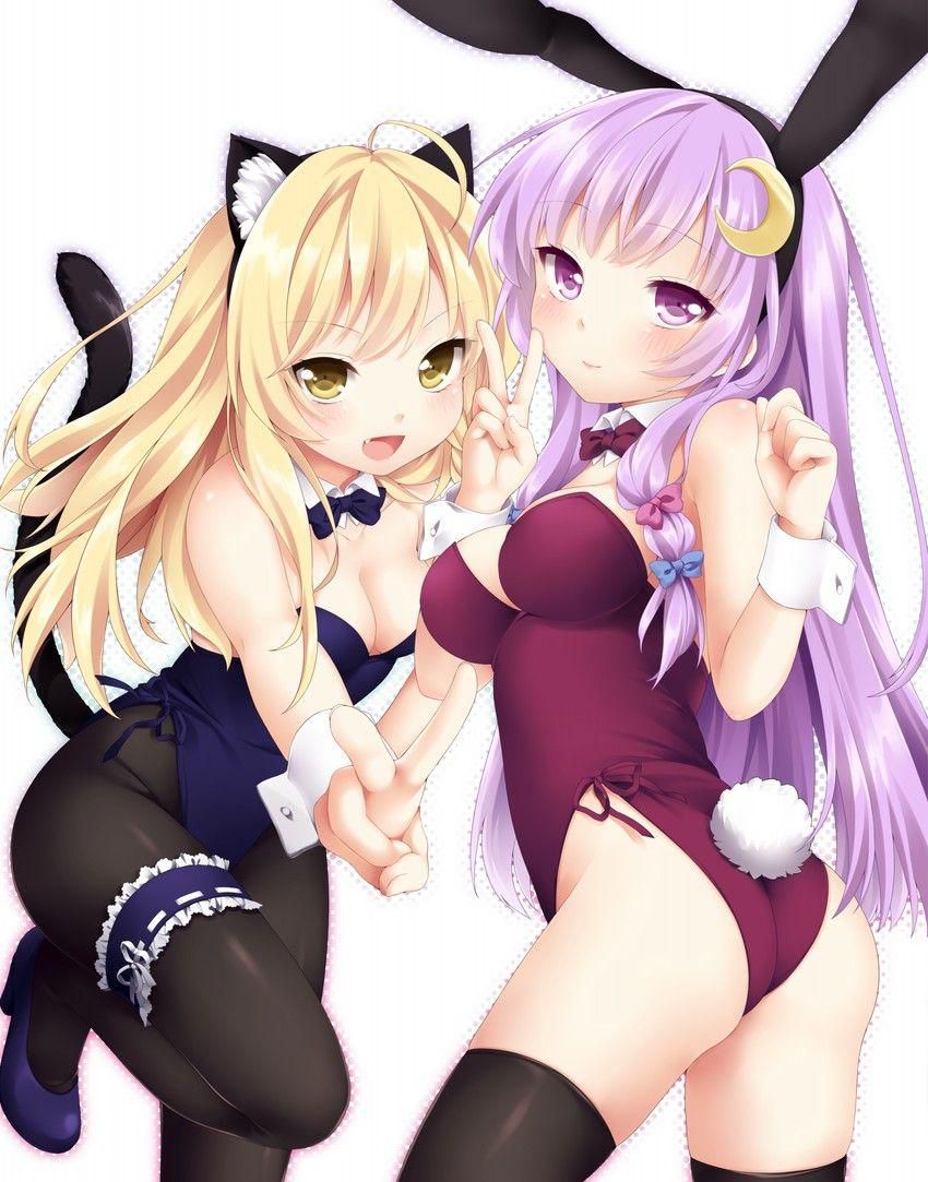 Cute Bunny girl erotic picture post! 7