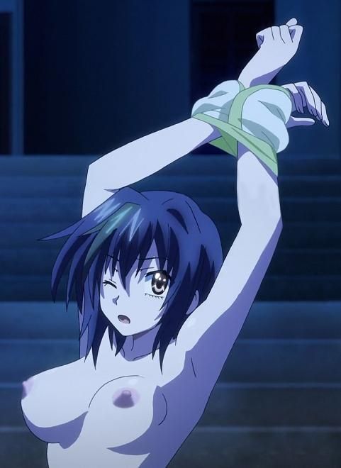 Highschool DxD [Zenovia quarter: 18 photos 12