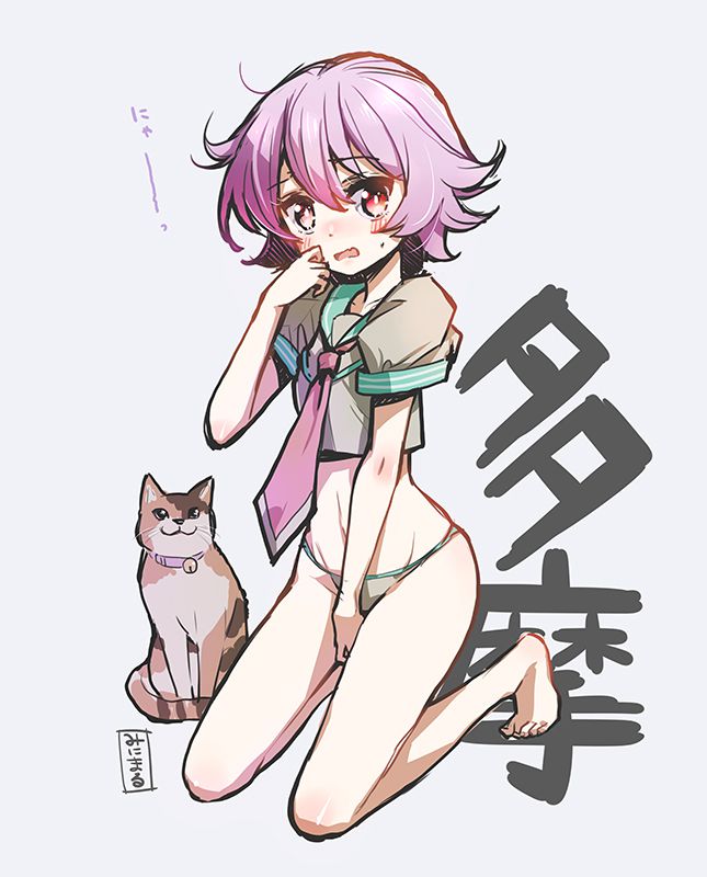 [Second / ZIP] a cat not a cat, but ship it together cute picture of Tama-CHAN 10