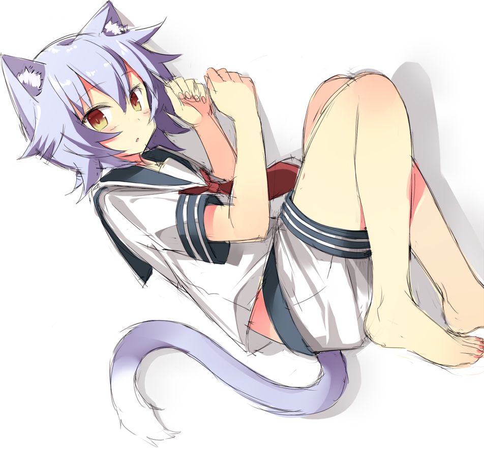 [Second / ZIP] a cat not a cat, but ship it together cute picture of Tama-CHAN 13