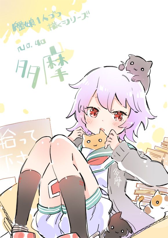 [Second / ZIP] a cat not a cat, but ship it together cute picture of Tama-CHAN 37