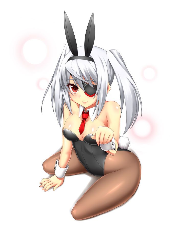 Take the erotic picture of Bunny Girl out! 13