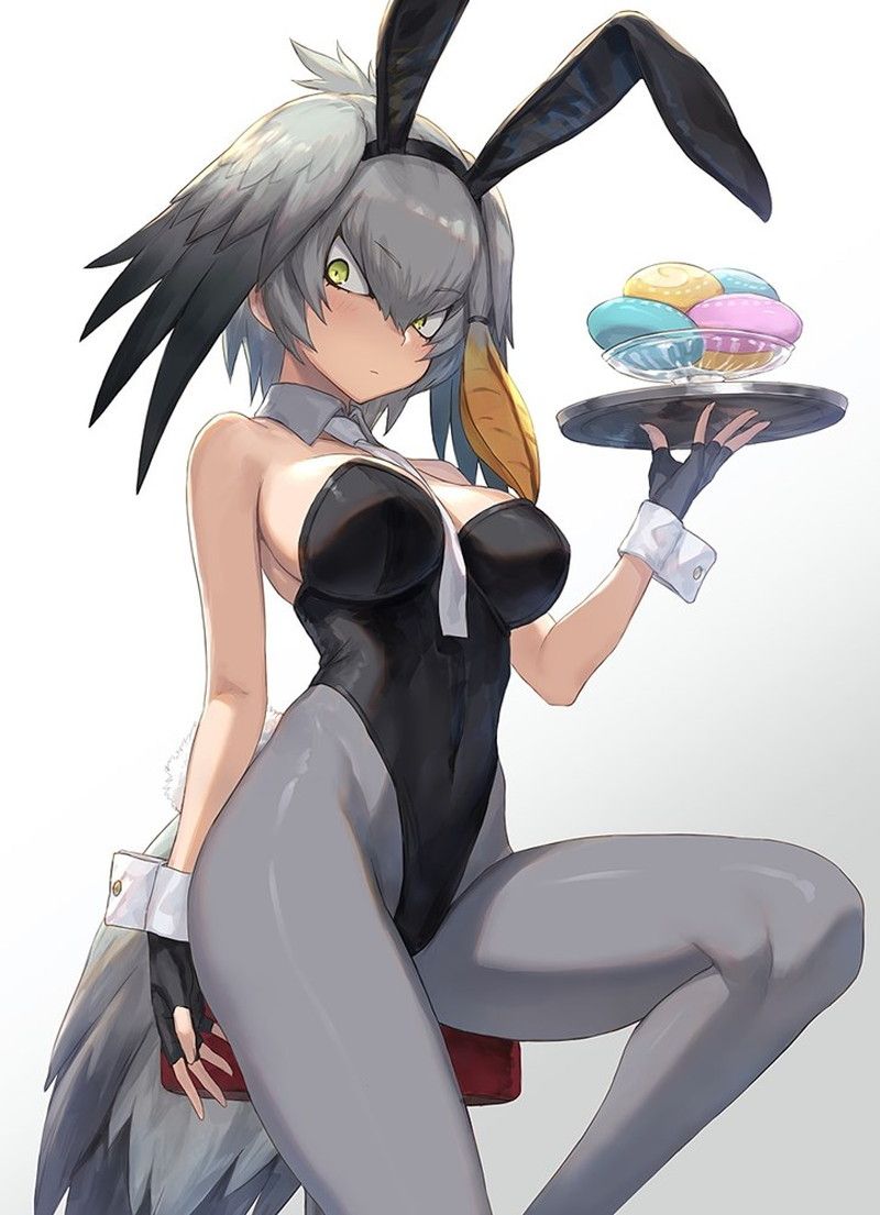 Take the erotic picture of Bunny Girl out! 8