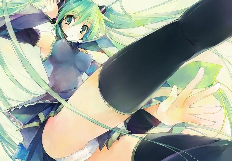 [Vocaloid] hatsune miku out erotic images part 1 12