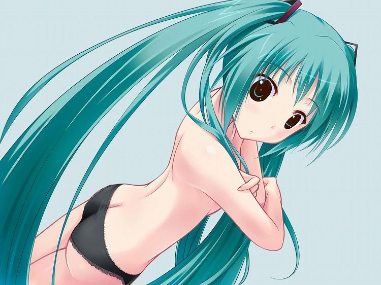 [Vocaloid] hatsune miku out erotic images part 1 13