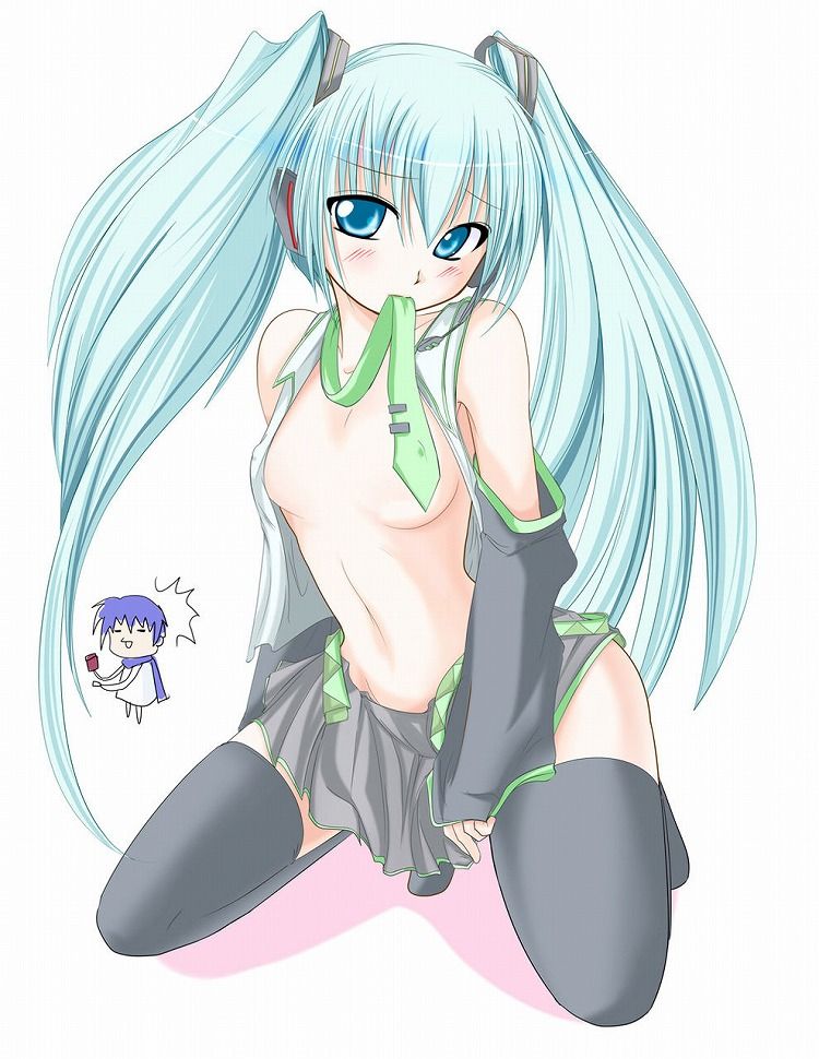 [Vocaloid] hatsune miku out erotic images part 1 20