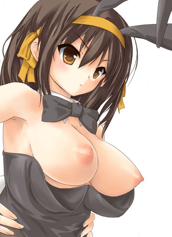 Validate with erotic images about the charm of the melancholy of Haruhi Suzumiya 12
