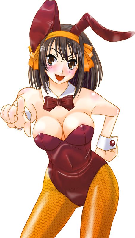 Validate with erotic images about the charm of the melancholy of Haruhi Suzumiya 16