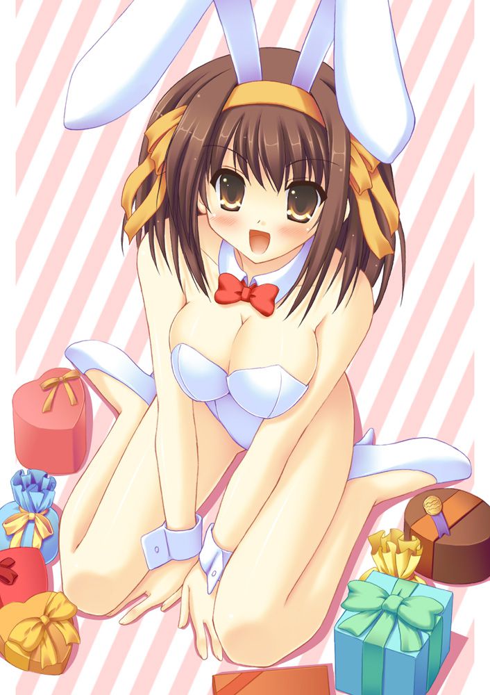 Validate with erotic images about the charm of the melancholy of Haruhi Suzumiya 8