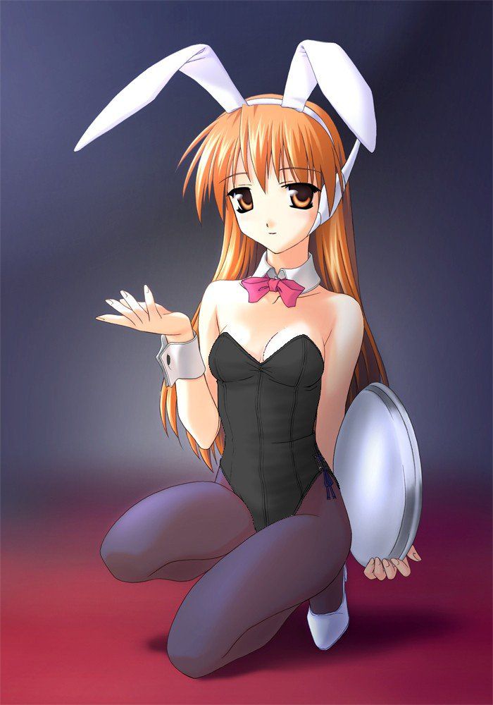 Bunny girl naughty guy 7