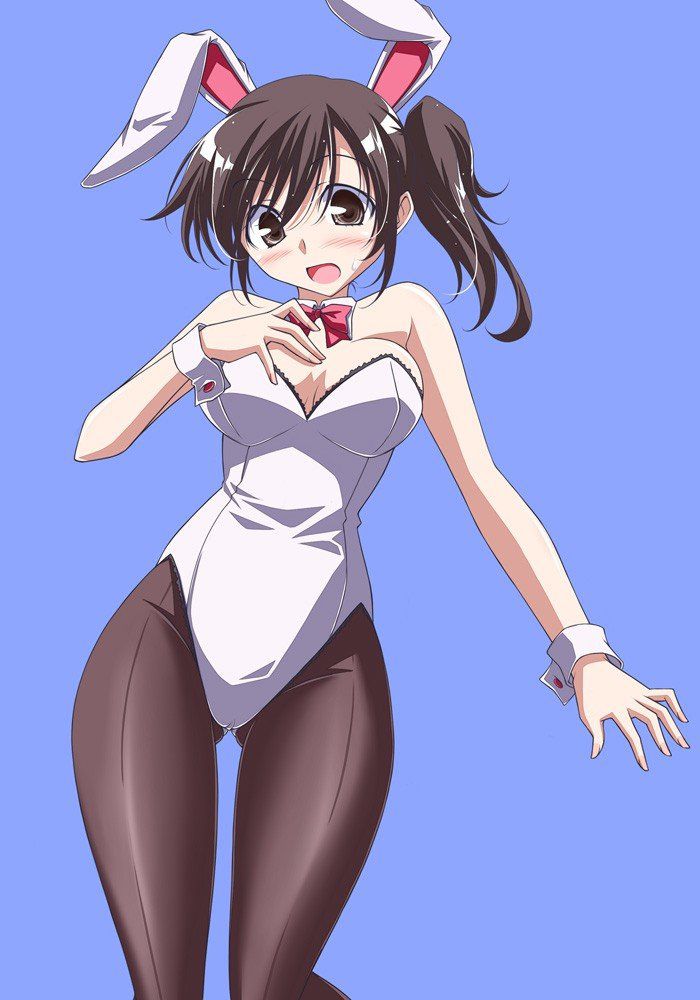 Bunny girl naughty guy 8